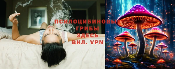 не бодяженный Алексин