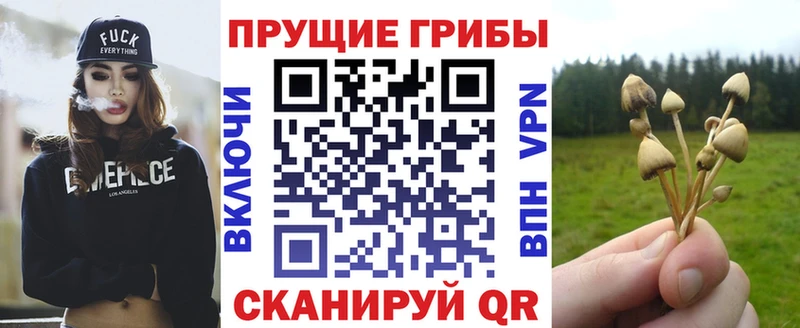 Галлюциногенные грибы Cubensis  Полевской 